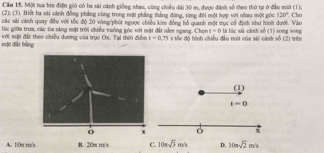 Một tua bin điện gió có ba sải cánh giống nhau, cùng chiều dài 30 m, được đánh số theo thứ tự ở đầu mút (1);
(2); (3). Biết ba sải cánh đồng phẳng cùng trong mặt phẳng thẳng đứng, từng đôi một hợp với nhau một góc 120°. Cho
các sải cánh quay đều với tốc độ 20 vòng/phút ngược chiều kim đồng hồ quanh một trục cố định như hình dưới. Vào
lúc giữa trưa, các tia sáng mặt trời chiếu vuông góc với mặt đất nằm ngang. Chọn t=0 là lúc sải cánh shat 0 (1) song song
với mặt đất theo chiều dương của trục Ox. Tại thời điểm t=0,75 s tốc độ hình chiếu đầu mút của sải cánh shat 0 (2) trên
mặt đất bằng
(1)
t=0
x
A. 10π m/s. B. 20π m/s. C. 10π sqrt(3)m/s. D. 10π sqrt(2)m/s.