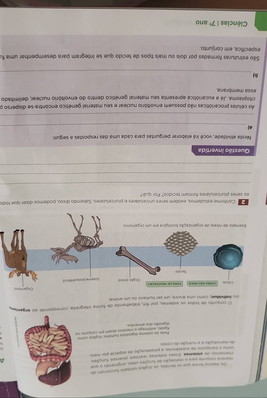 Da mesma forma que os tecidos, os órgãos também funcionam de 
maneira conjunta para a realização de funções vitais, originando o que 
chamamos de sistemas. Esses sistemas realizam diversas funções, 
^ 
como o transporte de substâncias, a perpetuação da espécie por meio 
da reprodução e a nutrição do corpo. a 
Parte do sistema digestório humano: órgãos comote 
figado, estômago e intestino atuam em conjunto na 
digestão dos alimentos. 
O conjunto de todos os sistemas, por fim, trabalhando de forma integrada, corresponde ao organism, 
(ou indivíduo), como uma árvore, um ser humano ou um animal. 
Conforme estudamos, existem seres unicelulares e pluricelulares. Sabendo disso, podemos dizer que todo 
os seres pluricelulares formam tecidos? Por quê? 
_ 
_ 
_ 
Questão invertida 
Nesta atividade, você irá elaborar perguntas para cada uma das respostas a seguir. 
a)_ 
_ 
As células procarióticas não possuem envoltório nuclear e seu material genético encontra-se disperso p 
citoplasma. Já a eucariótica apresenta seu material genético dentro do envoltório nuclear, delimitado 
essa membrana. 
_ 
b) 
São estruturas formadas por dois ou mais tipos de tecido que se integram para desempenhar uma fu 
específica, em conjunto. 
Ciências 17° ano