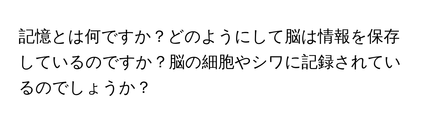 記憶とは何ですか？どのようにして脳は情報を保存しているのですか？脳の細胞やシワに記録されているのでしょうか？