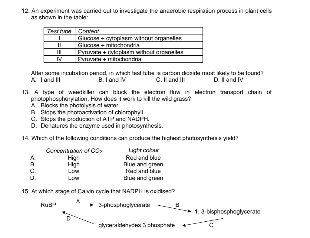 An experiment was carried out to investigate the anaerobic respiration process in plant cells
as shown in the table:
After some incubation period, in which test tube is carbon dioxide most likely to be found?
A. I and III B. I and IV C. II and III D. II and IV
13. A type of weedkiller can block the electron flow in electron transport chain of
photophosphorylation. How does it work to kill the wild grass?
A. Blocks the photolysis of water.
B. Stops the photoactivation of chlorophyll.
C. Stops the production of ATP and NADPH.
D. Denatures the enzyme used in photosynthesis.
14. Which of the following conditions can produce the highest photosynthesis yield?
Concentration of CO_2 Light colour
A. High Red and blue
B. High Blue and green
C. Low Red and blue
D. Low Blue and green
15. At which stage of Calvin cycle that NADPH is oxidised?
RuBP A
3-phosphoglycerate B
1, 3 -bisphosphoglycerate
D
glyceraldehydes 3 phosphate C