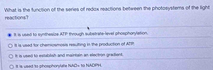 What is the function of the series of redox reactions between the photosystems of the light
reactions?
It is used to synthesize ATP through substrate-level phosphorylation.
It is used for chemiosmosis resulting in the production of ATP.
It is used to establish and maintain an electron gradient.
It is used to phosphorylate NAD+ to NADPH.