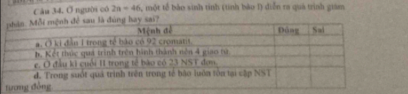 Ở người có 2n=46 , một tế bảo sinh tỉnh (tinh bảo I) diễn ra quá trình giám 
ay sai?