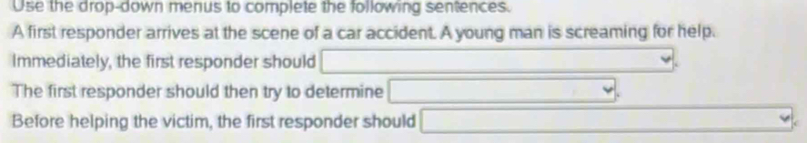 Use the drop-down menus to complete the following sentences. 
A first responder arrives at the scene of a car accident. A young man is screaming for help. 
Immediately, the first responder should 
The first responder should then try to determine to 
Before helping the victim, the first responder should