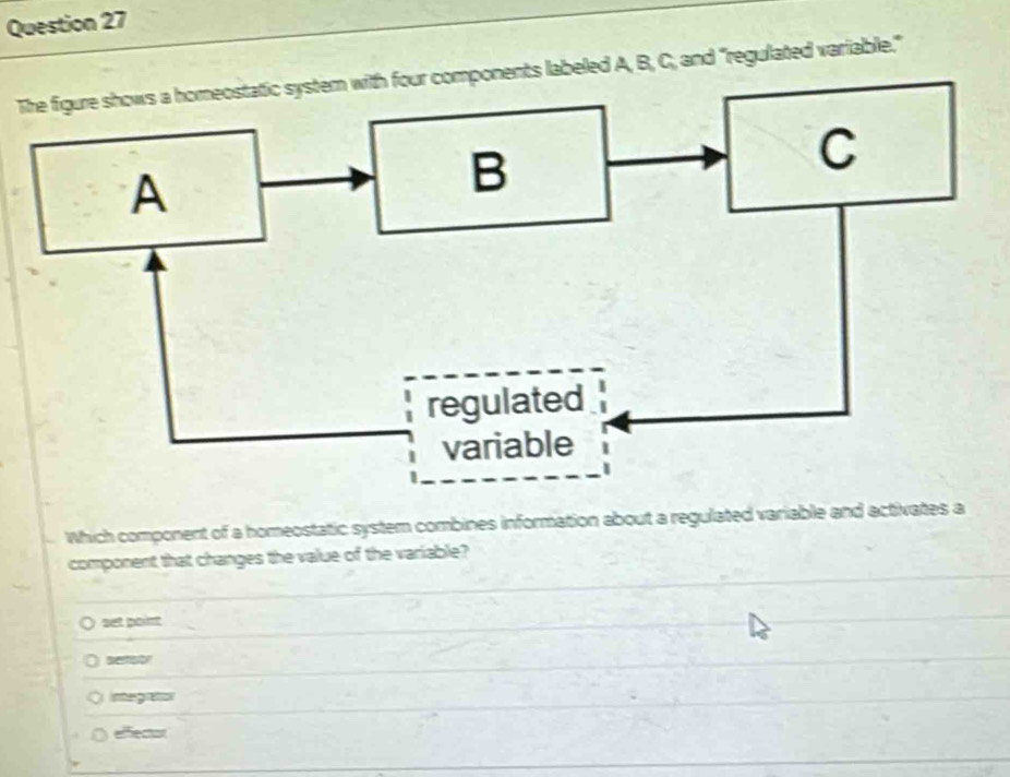 Solved: Tponents labeled A, B, C, and "regulated variable." Which ...