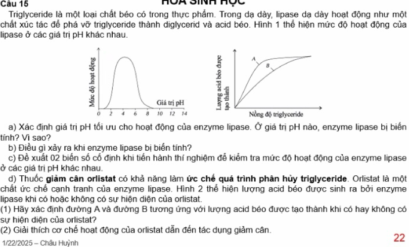 Triglyceride là một loại chất béo có trong thực phẩm. Trong dạ dày, lipase dạ dày hoạt động như một 
chất xúc tác để phá vỡ triglyceride thành diglycerid và acid béo. Hình 1 thể hiện mức độ hoạt động của 
lipase ở các giá trị pH khác nhau. 
Giá trị pH
0 2 4 6 8 10 12 14
a) Xác định giá trị pH tối ưu cho hoạt động của enzyme lipase. Ở giá trị pH nào, enzyme lipase bị biển 
tính? Vì sao? 
b) Điều gì xảy ra khi enzyme lipase bị biển tính? 
c) Đề xuất 02 biến số cổ định khi tiến hành thí nghiệm đễ kiểm tra mức độ hoạt động của enzyme lipase 
ở các giá trị pH khác nhau. 
d) Thuốc giảm cân orlistat có khả năng làm ức chế quá trình phân hủy triglyceride. Orlistat là một 
chất ức chế cạnh tranh của enzyme lipase. Hình 2 thể hiện lượng acid béo được sinh ra bởi enzyme 
lipase khi có hoặc không có sự hiện diện của orlistat. 
(1) Hãy xác định đường A và đường B tương ứng với lượng acid béo được tạo thành khi có hay không có 
sự hiện diện của orlistat? 
(2) Giải thích cơ chế hoạt động của orlistat dẫn đến tác dụng giảm cân. 
1/22/2025 - Châu Huỳnh 
22