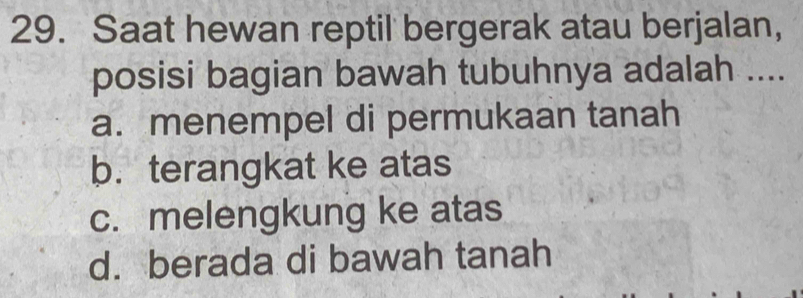 Saat hewan reptil bergerak atau berjalan,
posisi bagian bawah tubuhnya adalah ....
a. menempel di permukaan tanah
b. terangkat ke atas
c. melengkung ke atas
d. berada di bawah tanah