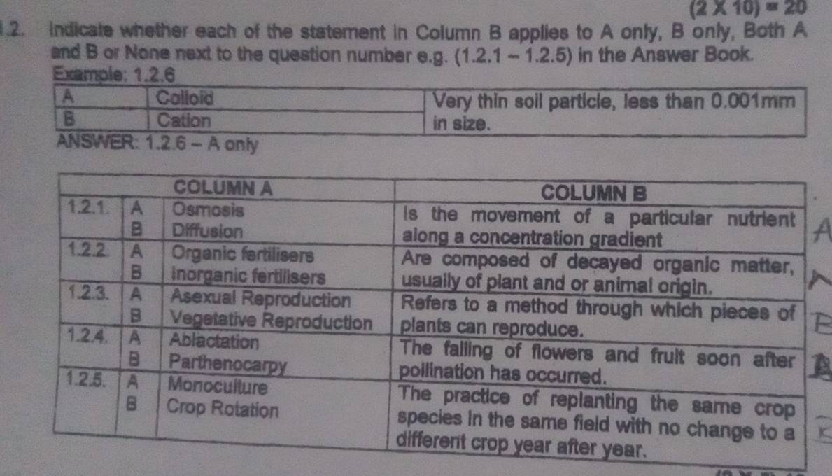 (2* 10)=20
1.2. Indicale whether each of the statement in Column B applies to A only, B only, Both A
and B or None next to the question number e.g. 2.1-1.2. 7. 5) in the Answer Book.
Example: 1.2.6