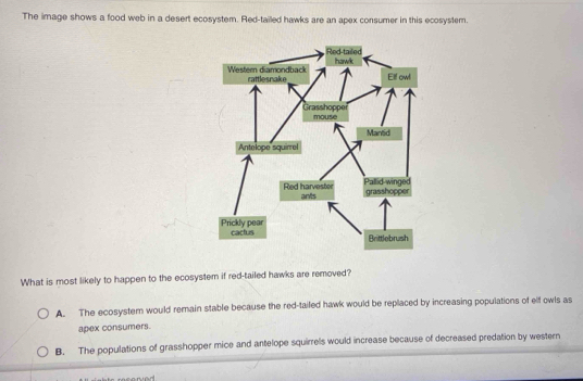 Solved: The image shows a food web in a desert ecosystem. Red-tailed ...