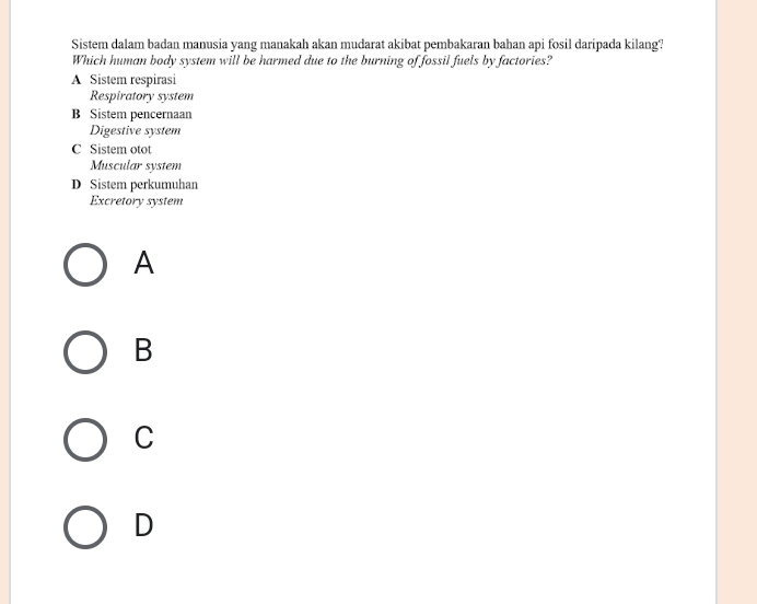 Sistem dalam badan manusia yang manakah akan mudarat akibat pembakaran bahan api fosil daripada kilang?
Which human body system will be harmed due to the burning of fossil fuels by factories?
A Sistem respirasi
Respiratory system
B Sistem pencernaan
Digestive system
C Sistem otot
Muscular system
D Sistem perkumuhan
Excretory system
A
B
C
D