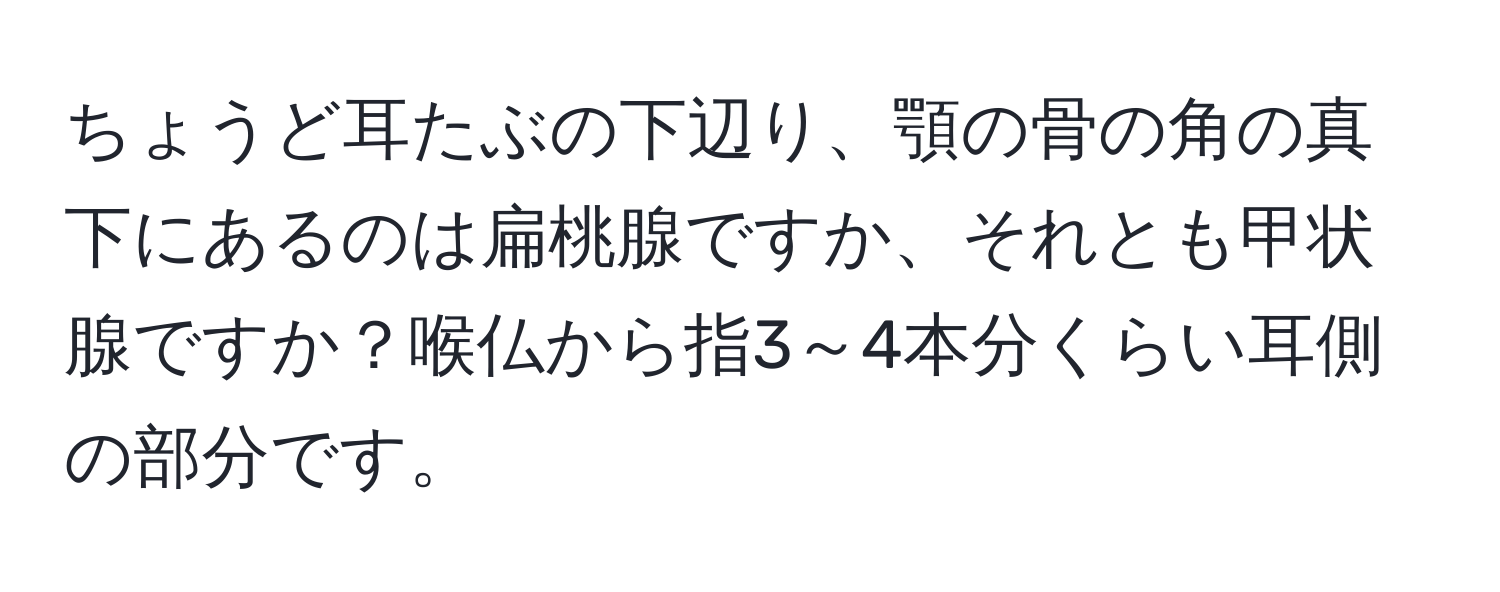 ちょうど耳たぶの下辺り、顎の骨の角の真下にあるのは扁桃腺ですか、それとも甲状腺ですか？喉仏から指3～4本分くらい耳側の部分です。