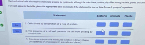 Plant and animal cells also require cytoskaletal protains for cytokinesis, although the roles these proteins play differ among bacteria, plants, and anin 
For each space in the table, place the appespriate label to indicate if the statement is true or false for each group of organisms. 
Statement Bacteria Animals Plants 
tun 1. Cells divide by constriction of a ring of protein. 
fatoe 2. The presence of a cell wall prevents the cell from dividing by 
constriction. 
3. Tubulin or tubulin-like molecules function in binary fission 
(in bacteria) or cytokinesis (in animals and plants).