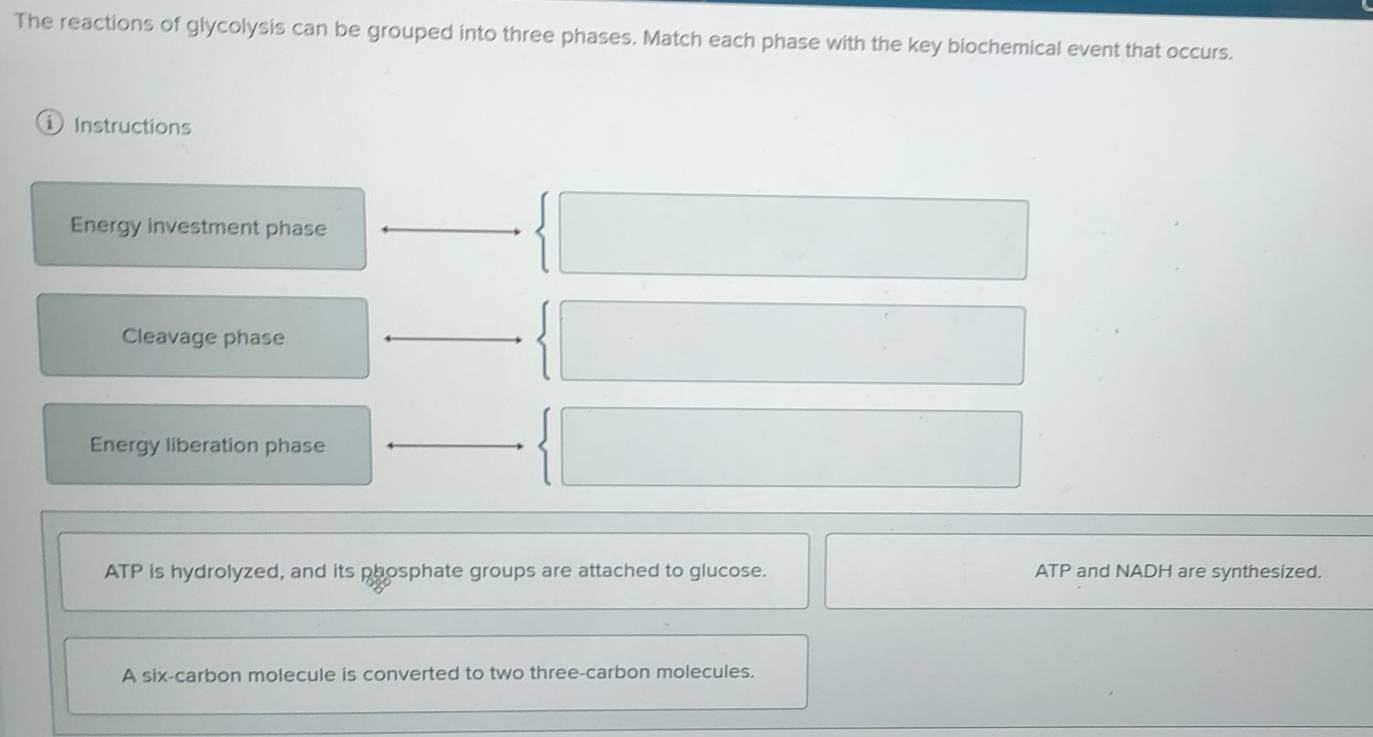The reactions of glycolysis can be grouped into three phases. Match each phase with the key biochemical event that occurs. 
① Instructions 
Energy investment phase 
Cleavage phase 
Energy liberation phase
ATP is hydrolyzed, and its phosphate groups are attached to glucose. ATP and NADH are synthesized. 
A six-carbon molecule is converted to two three-carbon molecules.