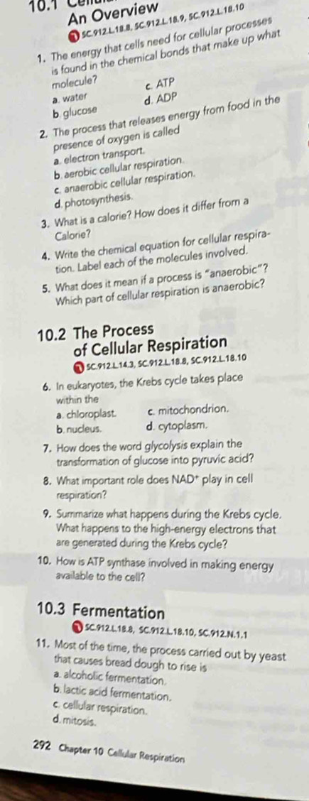 An Overview
D 5C. 912.L. 18.8, 5C. 912.L. 18.9, 5C. 912. L. 18.10
1. The energy that cells need for cellular processes
molecule? is found in the chemical bonds that make up what
a. water c. ATP
b. glucose d. ADP
2. The process that releases energy from food in the
presence of oxygen is called
a, electron transport.
b. aerobic cellular respiration.
c. anaerobic cellular respiration.
d. photosynthesis.
3. What is a calorie? How does it differ from a
Calorie?
4. Write the chemical equation for cellular respira-
tion. Label each of the molecules involved.
5. What does it mean if a process is “anaerobic”?
Which part of cellular respiration is anaerobic?
10.2 The Process
of Cellular Respiration
SC.912.L. 14.3, SC.912.L. 18.8, SC.912.L. 18.10
6. In eukaryotes, the Krebs cycle takes place
within the
a. chloroplast. c. mitochondrion.
b. nucleus. d. cytoplasm.
7. How does the word glycolysis explain the
transformation of glucose into pyruvic acid?
8. What important role does NA D a play in cell
respiration?
9. Summarize what happens during the Krebs cycle.
What happens to the high-energy electrons that
are generated during the Krebs cycle?
10. How is ATP synthase involved in making energy
available to the cell?
10. 3 Fermentation
) SC.912.L. 18.8, SC.912.L. 18.10, SC.912.N. 1.1
11. Most of the time, the process carried out by yeast
that causes bread dough to rise is
a. alcoholic fermentation.
b. lactic acid fermentation.
c. cellular respiration.
d. mitosis.
292 Chapter 10 Cellular Respiration