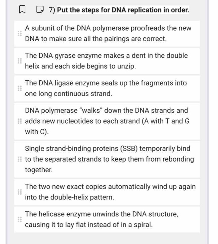 Put the steps for DNA replication in order.