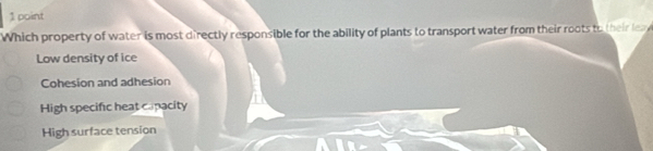 Which property of water is most directly responsible for the ability of plants to transport water from their roots to their lea
Low density of ice
Cohesion and adhesion
High specific heat capacity
High surface tension