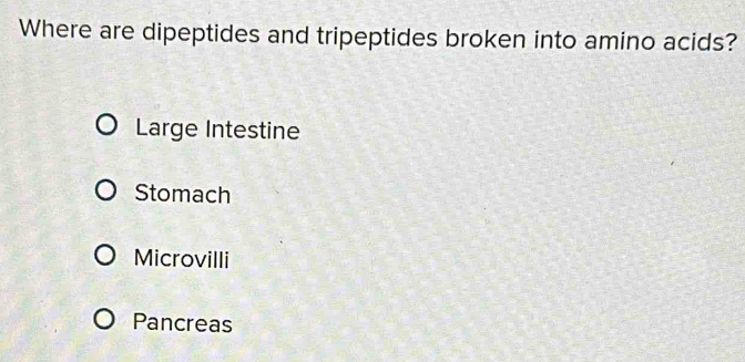 Where are dipeptides and tripeptides broken into amino acids?
Large Intestine
Stomach
Microvilli
Pancreas