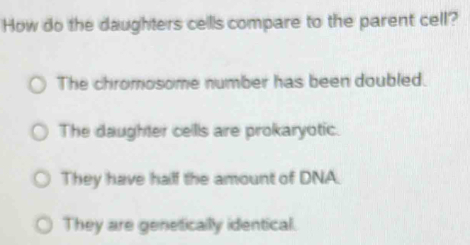 How do the daughters cellls compare to the parent cell?
The chromosome number has been doubled.
The daughter cells are prokaryotic.
They have half the amount of DNA.
They are genetically identical.