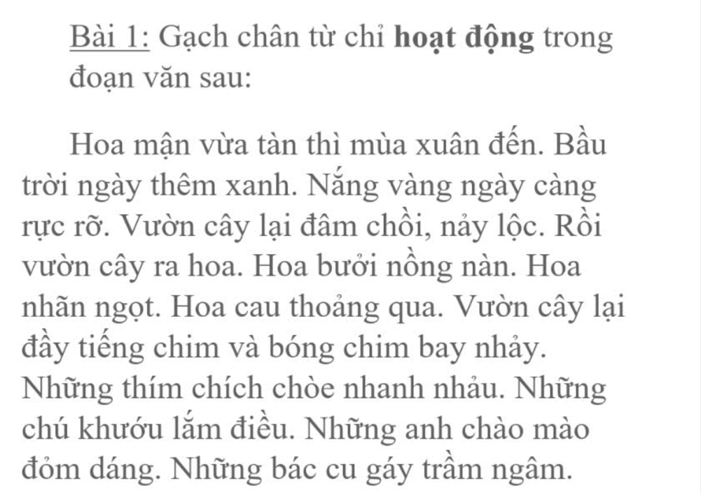 Gạch chân từ chỉ hoạt động trong 
đoạn văn sau: 
Hoa mận vừa tàn thì mùa xuân đến. Bầu 
trời ngày thêm xanh. Nắng vàng ngày càng 
rực rỡ. Vườn cây lại đâm chồi, nảy lộc. Rồi 
vườn cây ra hoa. Hoa bưởi nồng nàn. Hoa 
nhãn ngọt. Hoa cau thoảng qua. Vườn cây lại 
đầy tiếng chim và bóng chim bay nhảy. 
Những thím chích chòe nhanh nhảu. Những 
chú khướu lắm điều. Những anh chào mào 
đỏm dáng. Những bác cu gáy trầm ngâm.