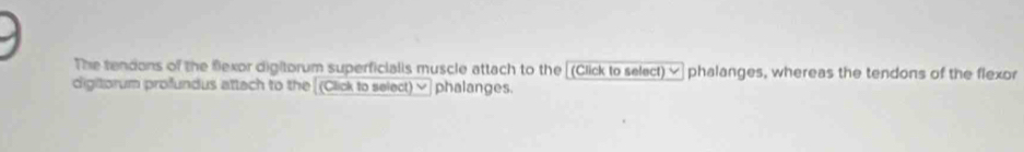 The tendons of the flexor digitorum superficialis muscle attach to the [(Click to select) ≌ phalanges, whereas the tendons of the flexor 
digitorum profundus attech to the [(Click to select) ×] phalanges.