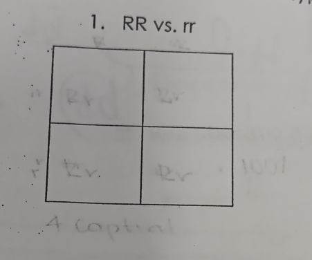 RR vs. rr