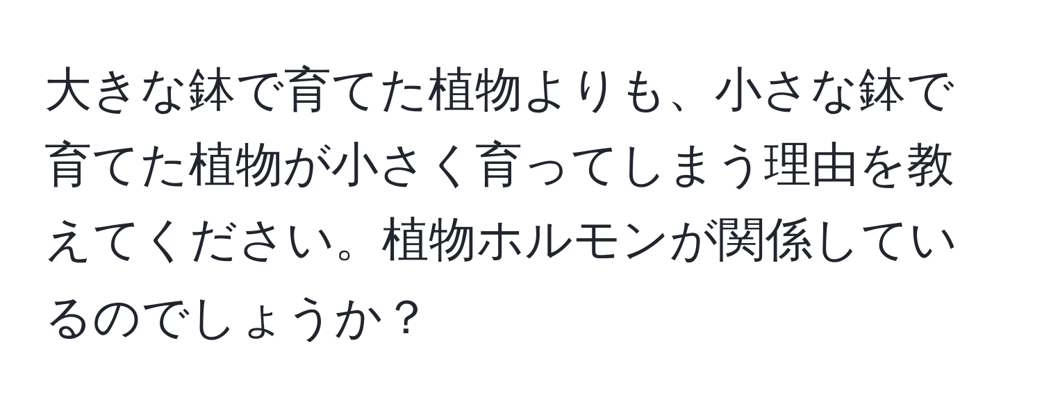 大きな鉢で育てた植物よりも、小さな鉢で育てた植物が小さく育ってしまう理由を教えてください。植物ホルモンが関係しているのでしょうか？