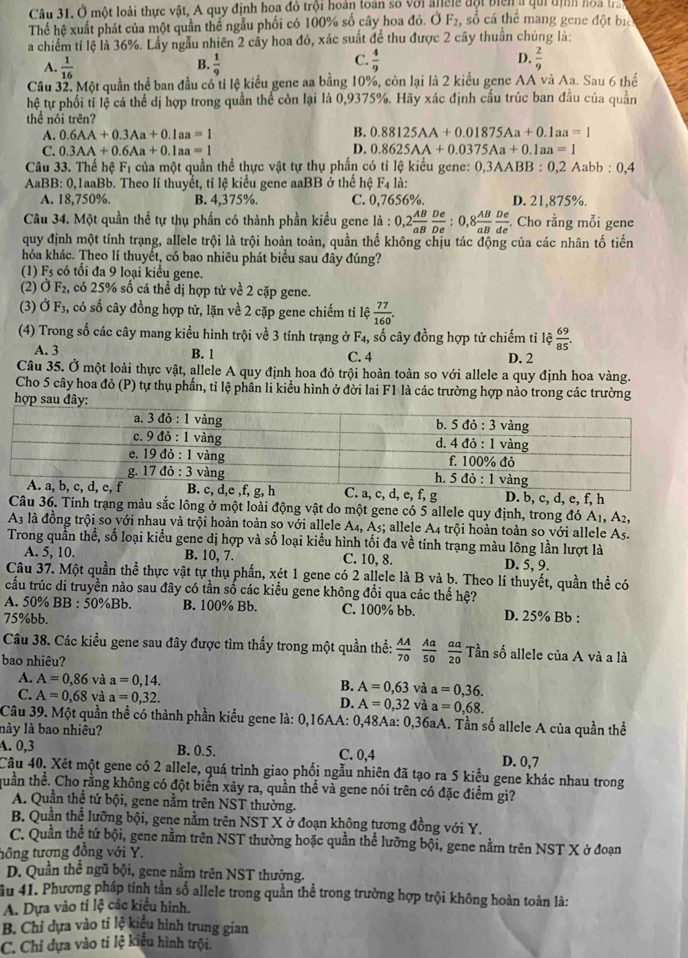 Ở một loài thực vật, A quy định hoa đỏ trội hoàn toán số với allele đột biển a qui định hoa trà
Thế hệ xuất phát của một quần thể ngẫu phối có 100% số cây hoa đỏ. dot OF_2, số cá thể mang gene đột bic
a chiếm tỉ lệ là 36%. Lấy ngẫu nhiên 2 cầy hoa đỏ, xác suất để thu được 2 cây thuần chủng là:
B.
A.  1/16   1/9 
C.  4/9   2/9 
D.
Câu 32. Một quần thể ban đầu có tỉ lệ kiểu gene aa bằng 10%, còn lại là 2 kiểu gene AA và Aa. Sau 6 thế
hệ tự phối tỉ lệ cá thể dị hợp trong quần thể còn lại là 0,9375%. Hãy xác định cấu trúc ban đầu của quần
thể nói trên?
A. 0.6AA+0.3Aa+0.1aa=1 B. 0.88125AA+0.01875Aa+0.1aa=1
C. 0.3AA+0.6Aa+0.1aa=1 D. 0.8625AA+0.0375Aa+0.1aa=1
Câu 33. Thế hhat eF_1 của một quần thể thực vật tự thụ phấn có tỉ lệ kiểu gene: 0,3AABB : 0,2 Aabb : 0,4
AaBB: 0,1aaBb. Theo lí thuyết, tỉ lệ kiểu gene aaBB ở thế hệ F_4 là:
A. 18,750%. B. 4,375%. C. 0,7656%. D. 21,875%.
Câu 34. Một quần thể tự thụ phần có thành phần kiều gene là : 0,2 AB/aB  De/De :0,8 AB/aB  De/de . Cho rằng mỗi gene
quy định một tính trạng, allele trội là trội hoàn toàn, quần thể không chịu tác động của các nhân tố tiến
hóa khác. Theo lí thuyết, có bao nhiêu phát biểu sau đây đúng?
(1) F_5 có tối đa 9 loại kiểu gene.
(2) Ở F_2, , có 25% số cá thể dị hợp tử về 2 cặp gene.
(3) dot OF_3 4, có số cây đồng hợp từ, lặn về 2 cặp gene chiếm tỉ lệ  77/160 .
(4) Trong số các cây mang kiểu hình trội về 3 tính trạng ở F_4, số cây đồng hợp tử chiếm tỉ lệ  69/85 .
A. 3 B. 1 C. 4 D. 2
Câu 35. Ở một loài thực vật, allele A quy định hoa đỏ trội hoàn toàn so với allele a quy định hoa vàng.
Cho 5 cây hoa đỏ (P) tự thụ phần, tỉ lệ phân li kiểu hình ở đời lai F1 là các trường hợp nào trong các trường
hợp sau đây:
C. a, c, d, e, f, g D. b, c, d, e, f, h
Câu 36. Tính trạng màu sắc lông ở một loài động vật do một gene có 5 allele quy định, trong đó A₁, A2,
A3 là đồng trội so với nhau và trội hoàn toàn so với allele A4, A5; allele A4 trội hoàn toàn so với allele A5.
Trong quần thể, số loại kiểu gene dị hợp và số loại kiểu hình tối đa về tính trạng màu lông lần lượt là
A. 5, 10. B. 10, 7. C. 10, 8. D. 5, 9.
Câu 37. Một quần thể thực vật tự thụ phần, xét 1 gene có 2 allele là B và b. Theo lí thuyết, quần thể có
cấu trúc di truyền nào sau đây có tần số các kiểu gene không đổi qua các thế hệ?
A. 50% BB : 50%Bb. B. 100% Bb. C. 100% bb.
75%bb. D. 25% Bb :
Câu 38. Các kiểu gene sau đây được tìm thấy trong một quần thể:  AA/70  Aa/50  aa/20  Tần số allele của A và a là
bao nhiêu?
A. A=0,86 và a=0,14. B. A=0,63 và a=0,36.
C. A=0,68 và a=0,32. D. A=0,32 và a=0,68.
Câu 39. Một quần thể có thành phần kiểu gene là: 0,16AA: 0,48Aa: 0,36aA. Tần số allele A của quần thể
này là bao nhiêu?
A. 0,3 B. 0.5. C. 0,4 D. 0,7
Câu 40. Xét một gene có 2 allele, quá trình giao phối ngẫu nhiên đã tạo ra 5 kiểu gene khác nhau trong
quần thể. Cho rằng không có đột biến xãy ra, quần thể và gene nói trên có đặc điểm gì?
A. Quần thề tứ bội, gene nằm trên NST thường.
B. Quần thể lưỡng bội, gene nằm trên NST X ở đoạn không tương đồng với Y.
C. Quần thể tứ bội, gene nằm trên NST thường hoặc quần thể lưỡng bội, gene nằm trên NST X ở đoạn
tồng tượng đồng với Y.
D. Quần thể ngũ bội, gene nằm trên NST thường.
ầu 41. Phương pháp tính tần số allele trong quần thể trong trường hợp trội không hoàn toàn là:
A. Dựa vào ti lhat e các iểu hình,
B. Chỉ dựa vào tỉ lệ kiểu hình trung gian
C. Chỉ dựa vào tỉ lệ kiểu hình trội.
