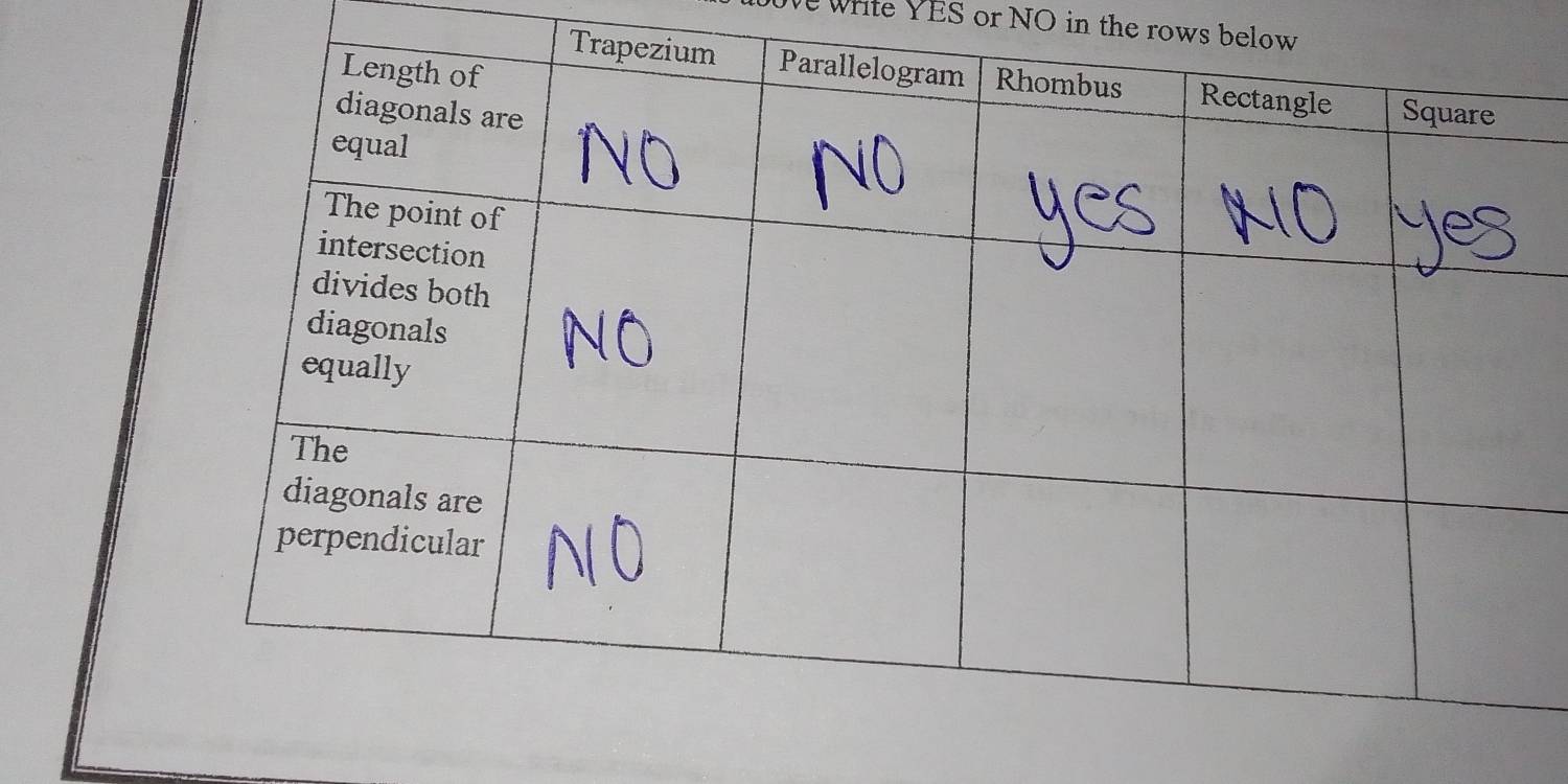 Write YES or NO in the rows below