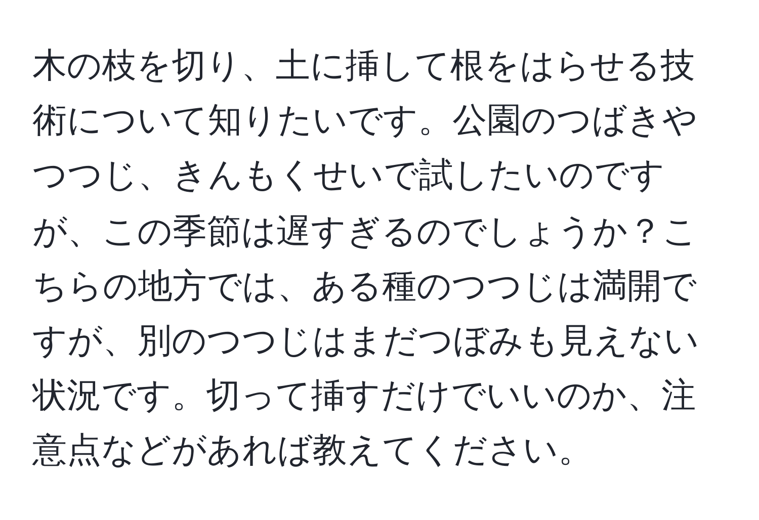 木の枝を切り、土に挿して根をはらせる技術について知りたいです。公園のつばきやつつじ、きんもくせいで試したいのですが、この季節は遅すぎるのでしょうか？こちらの地方では、ある種のつつじは満開ですが、別のつつじはまだつぼみも見えない状況です。切って挿すだけでいいのか、注意点などがあれば教えてください。