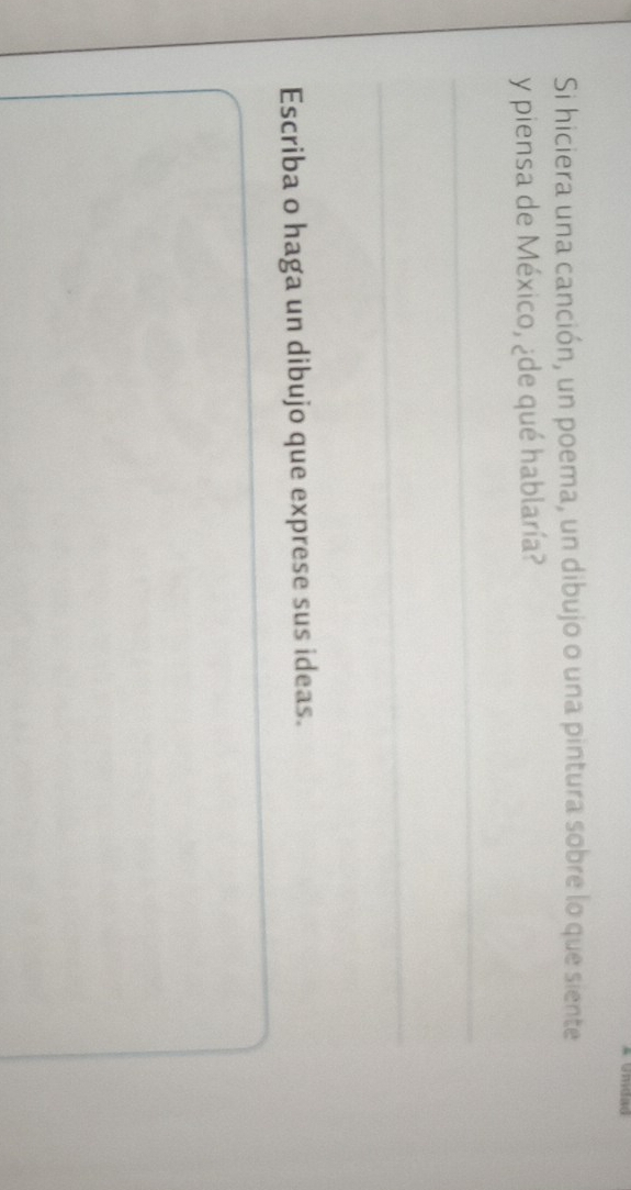 Si hiciera una canción, un poema, un dibujo o una pintura sobre lo que siente 
y piensa de México, ¿de qué hablaría? 
_ 
_ 
Escriba o haga un dibujo que exprese sus ideas. 
_
