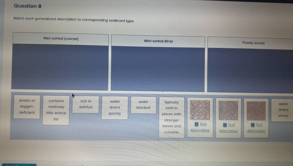 Match each generalized description to corresponding sediment type.
Well-sorted (coarse) Well-sorted (fine) Poorly sorted
anoxic or contains rich in water water typically water
oxygen relatively detritus drains blocked exist in
deficient little animal quickly drains
life places with slowly
stronger
waves and Text Text Text
currents Alternative Alternative Alternative