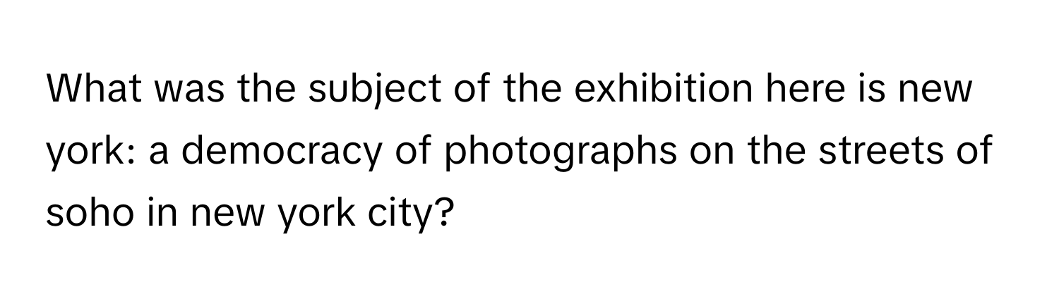 What was the subject of the exhibition here is new york: a democracy of photographs on the streets of soho in new york city?