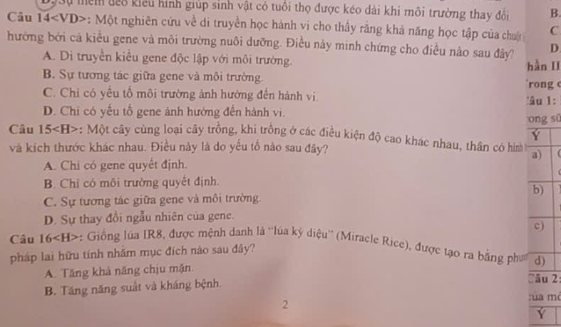 Sự têm đếo kiểu hình giúp sinh vật có tuổi thọ được kéo dài khi môi trường thay đổi B.
Câu 14 *: Một nghiên cứu về di truyền học hành vi cho thấy rằng khả năng học tập của chưc C
hưởng bởi cả kiều gene và môi trường nuôi dưỡng. Điều này minh chứng cho điều nào sau đây D
A. Di truyền kiều gene độc lập với môi trường. hàn II
B. Sự tương tác giữa gene và môi trường. 'rong
C. Chỉ có yếu tổ môi trường ảnh hường đến hành vi. âu 1:
D. Chi có yếu tố gene ảnh hường đến hành vi.
ong sū
Y
Câu 15 *: Một cây cùng loại cây trồng, khi trồng ở các điều kiện độ cao khác nhau, thân có hình a)
và kích thước khác nhau. Điều này là do yếu tố nào sau đây?
A. Chi có gene quyết định.
B. Chỉ có môi trường quyết định.
b)
C. Sự tương tác giữa gene và môi trường.
D. Sự thay đổi ngẫu nhiên của gene.
c)
Câu 16 -: Giống lúa IR8, được mệnh danh là ''lúa kỷ diệu'' (Miracle Rice), được tạo ra bằng phư d)
pháp lai hữu tính nhăm mục đích nào sau đây?
A. Tăng khả năng chịu mặn
B. Tăng năng suất và kháng bệnh.
âu 2:
2
rùa mở