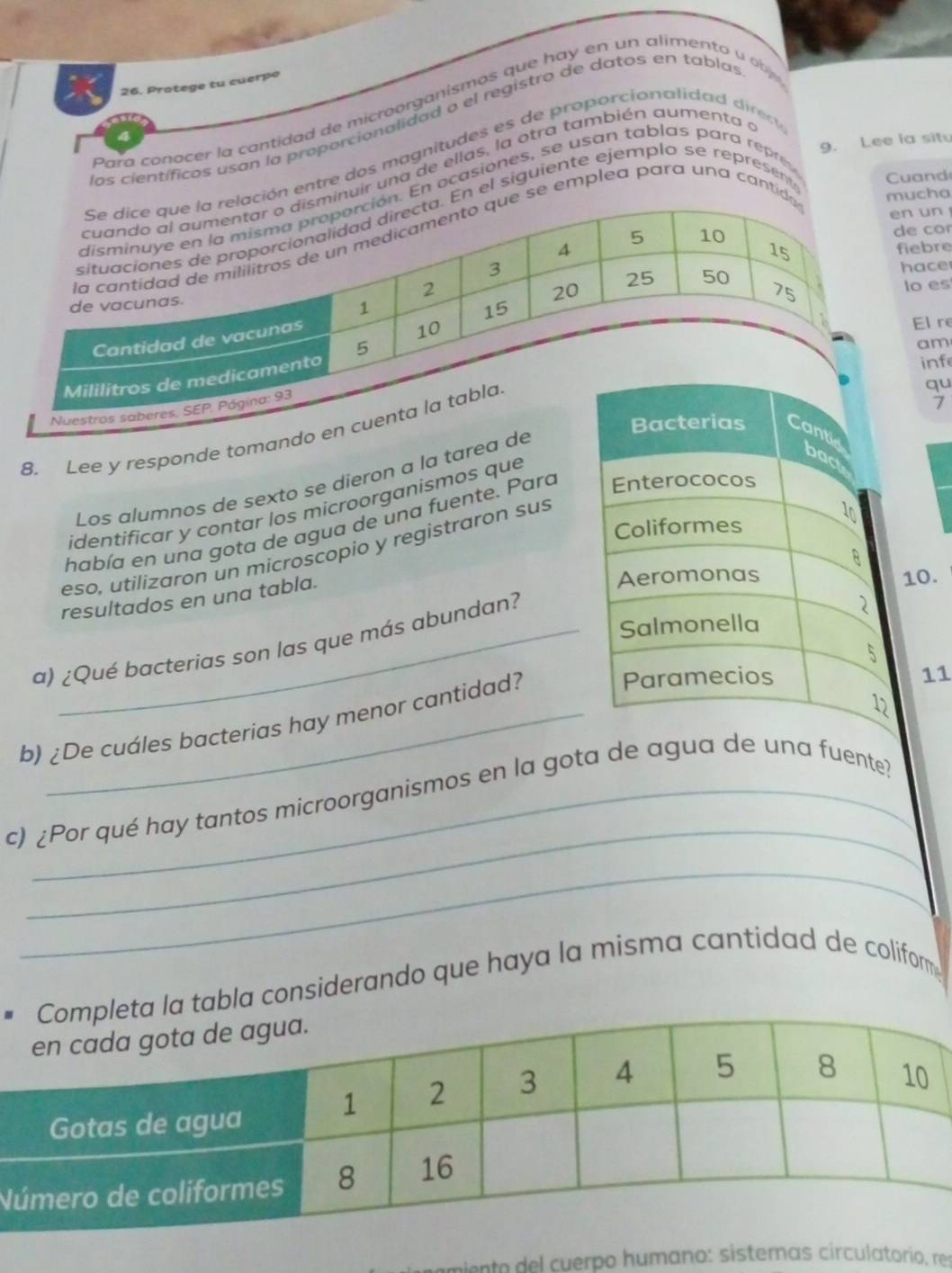 Protege tu cuerpo 
Para conocer la cantidad de microorganismós que hay en un alimento u o 
los científicos usan la proporcionalidad o el registro de datos en tablas 
a 
entre dos magnitudes es de proporcionalidad dic 
ir una de ellas, la otra también aumenta a 
En ocasiones, se usan tablas para re 9. Lee ia situ 

el siguiente ejemplo se represent uand 
o 
emplea para una canta 
e 
e 
s 
re 
m 
f 
u 
7 
8. Lee y responde tomando 
Los alumnos de sexto se dieron a la tarea de 
identificar y contar los microorganismos que 
había en una gota de agua de una fuente. Para 
eso, utilizaron un microscopio y registraron sus 
resultados en una tabla. 
. 
a) ¿Qué bacterias son las que más abundan? 
b) ¿De cuáles bacterias hay menor cantidad? 
1 
_ 
c) ¿Por qué hay tantos microorganismos en la gotante? 
_ 
abla considerando que haya la misma cantidad de coliform 
N 
ento del cuerpo humano: sistemas circulatorio, res