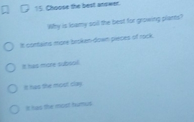 Choose the best answer.
Why is loamy soil the best for growing plants?
It contains more broken-down pieces of rock.
Itt has more subssil!
It has the most clay.
It has the most hurus.