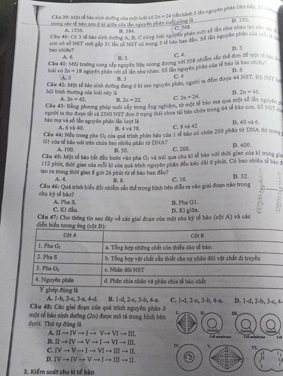 Một tế bào sinh dưỡng của một loài có 2n=24 tiến hành 5 lần nguyên phân liên tiếp, Số chroma
trong các tế bào con ở kỉ giữa của lần nguyên phân cuối cùng là D. 192.
A. 1536. B. 384.
C. 768.
Câu 40:C63 3 tế bào sinh dưỡng A, B, C cùng loài nguyên phân một số lần như nhau tạo nên các tế
con có số NST mới gấp 31 lần số NST có trong 3 tế bào ban đầu, Số lần nguyên phân của mỗi tế bào
bao nhiêu? D. 3.
A. 6. B. 5.
C. 4.
Câu 41: Môi trường cung cấp nguyên liệu tương đương với 558 nhiễm sắc thể đơn để một tế bào ở n
loài có 2n=18 nguyên phân với số lần như nhau. Số lần nguyên phân của tế bào là bao nhiệu?
A. 5 B. 3
C. 4 D. 6
Cầu 42: Một tế bảo sinh dưỡng đang ở kì sau nguyên phân, người ta đếm được 44 NST. Bộ NST lưỡ
bội bình thường của loài này là D. 2n=46.
A. 2n=42. B. 2n=22.
C. 2n=24.
Câu 43: Bằng phương pháp nuôi cấy trong ống nghiệm, từ một tế bảo mẹ qua một số lần nguyên ph
người ta thu được tất cả 2560 NST đơn ở trạng thái chưa tái bản chứa trong 64 tế bào con. Số NST của
bảo mẹ và số lần nguyên phân lần lượt là D. 40 và 6.
A. 6 và 40. B. 4 và 78.
C. 8 và 42
Câu 44: Nếu trong pha G_2 của quá trình phân bào của 1 tế bào có chứa 200 phân tử DNA thì trong 
G1 của tế bào nói trên chứa bao nhiêu phân tử DNA?
D. 400.
A. 100. B. 50. C. 200.
Câu 45: Một tế bào bắt đầu bước vào pha G_1 và trải qua chu kỉ tế bào với thời gian của kỉ trung gia
112 phút, thời gian của mỗi ki của quá trình nguyên phân đều kéo dài 6 phút. Có bao nhiêu tế bào đ
tạo ra trong thời gian 8 giờ 26 phút từ tế bào ban đầu?
A. 4. B. 8. C. 16. D. 32.
Câu 46: Quá trình biến đổi nhiễm sắc thể trong hình bên diễn ra vào giai đoạn nào trong ;
chu kỳ tế bào?
A. Pha S. B. Pha G1.
C. Kì đầu. D. Kì giữa.
Câu 47: Cho thông tin sau đây về các giai đoạn của một chu kỳ tế bào (cột A) và các
diễn biế
A. 1-b, 2-c, 3-a, 4-d. B. 1-d, 2-c, 3-b, 4-a. C. 1-d, 2-c, 3-b, 4-a. D. 1-d, 2-b, 3-c, 4-
Câu 48: Các giai đoạn của quá trình nguyên phân ở L
một tế bào sinh dưỡng (2n) được mô tả trong hình bên II.
dưới. Thứ tự đúng là
A. IIto IVto Ito Vto VIto III. Nurlso Kucleds   Nacied
Cell membrane Cell membrane Csll
B. IIto IVto Vto 1to VIto III
IV 
C. IVto Vto I- Ito II
D. IVto IVto 11
3. Kiểm soát chu kì tế bào