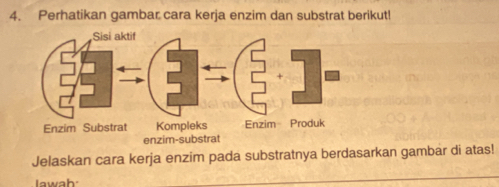 Perhatikan gambar cara kerja enzim dan substrat berikut! 
enzim-substrat 
Jelaskan cara kerja enzim pada substratnya berdasarkan gambar di atas! 
I awah