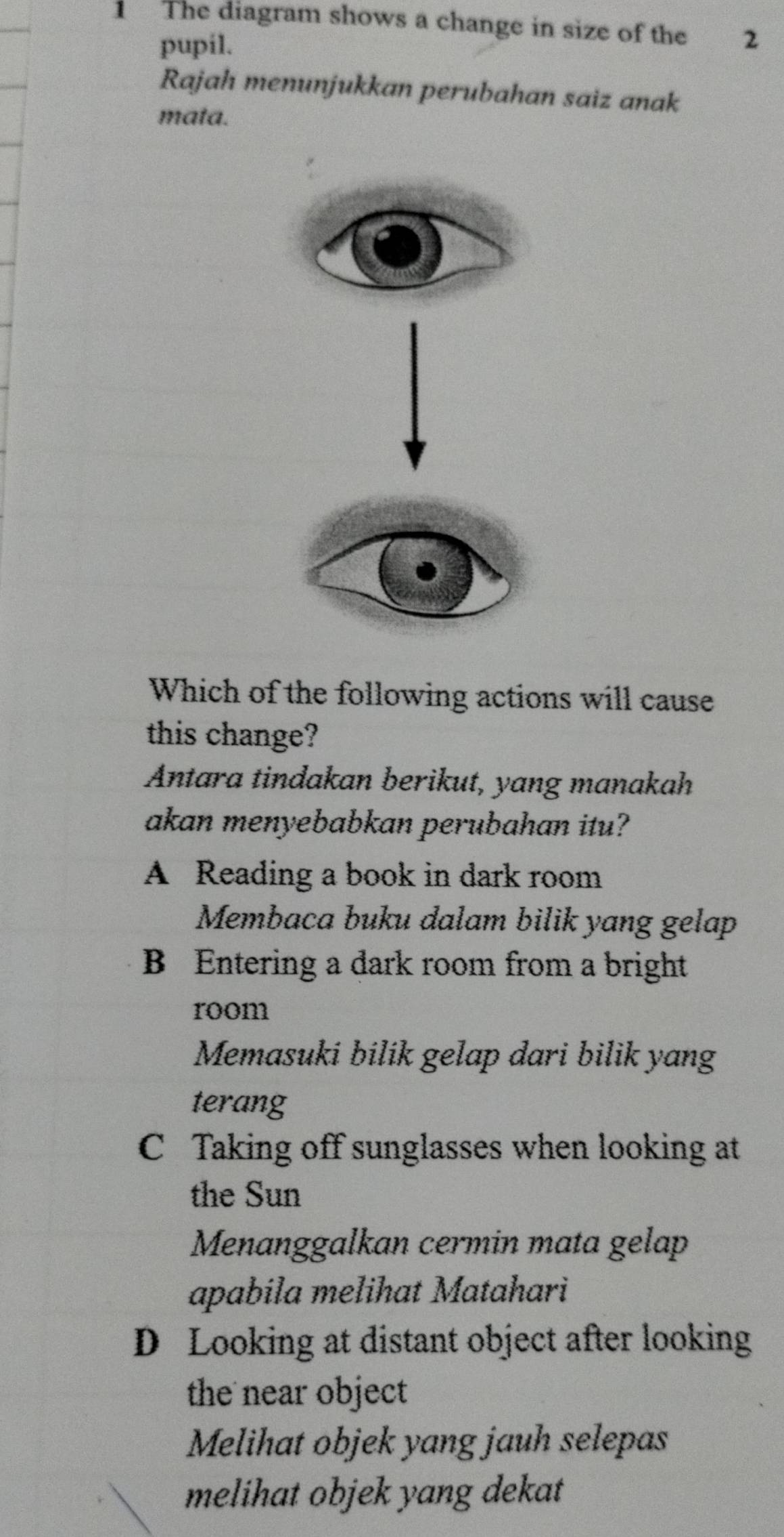 The diagram shows a change in size of the 2
pupil.
Rajah menunjukkan perubahan saiz anak
mata.
Which of the following actions will cause
this change?
Antara tindakan berikut, yang manakah
akan menyebabkan perubahan itu?
A Reading a book in dark room
Membaca buku dalam bilik yang gelap
B Entering a dark room from a bright
room
Memasuki bilik gelap dari bilik yang
terang
C Taking off sunglasses when looking at
the Sun
Menanggalkan cermin mata gelap
apabila melihat Matahari
D Looking at distant object after looking
the near object 
Melihat objek yang jauh selepas
melihat objek yang dekat