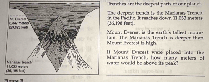 Trenches are the deepest parts of our planet. 
he deepest trench is the Marianas Trench 
n the Pacific. It reaches down 11,033 meters
36,198 feet). 
ount Everest is the earth's tallest moun- 
ain. The Marianas Trench is deeper than 
ount Everest is high. 
f Mount Everest were placed into the 
arianas Trench, how many meters of 
ater would be above its peak? 
_ 
Figure B