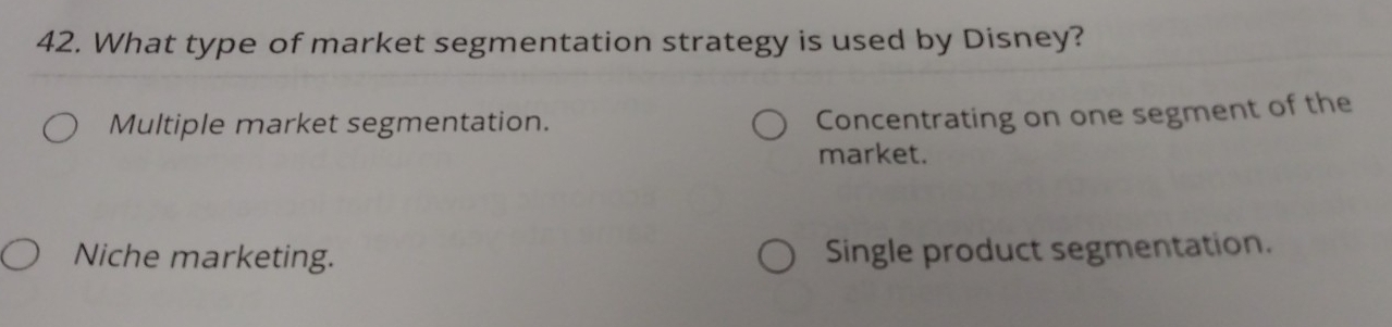 What type of market segmentation strategy is used by Disney?
Multiple market segmentation.
Concentrating on one segment of the
market.
Niche marketing. Single product segmentation.