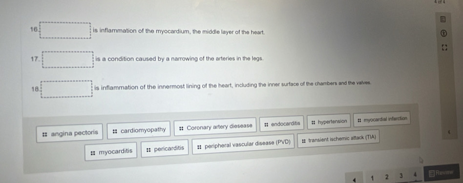 4 □f 4 
16 is inflammation of the myocardium, the middle layer of the heart. 
17. is a condition caused by a narrowing of the arteries in the legs. 
18 is inflammation of the innermost lining of the heart, including the inner surface of the chambers and the valves. 
: angina pectoris : cardiomyopathy = Coronary artery diesease : endocarditis :hypertension : myocardial infarction 
 
::myocarditis : pericarditis : peripheral vascular disease (PVD) :: transient ischemic attack (TIA) 
1 2 3 4 Review