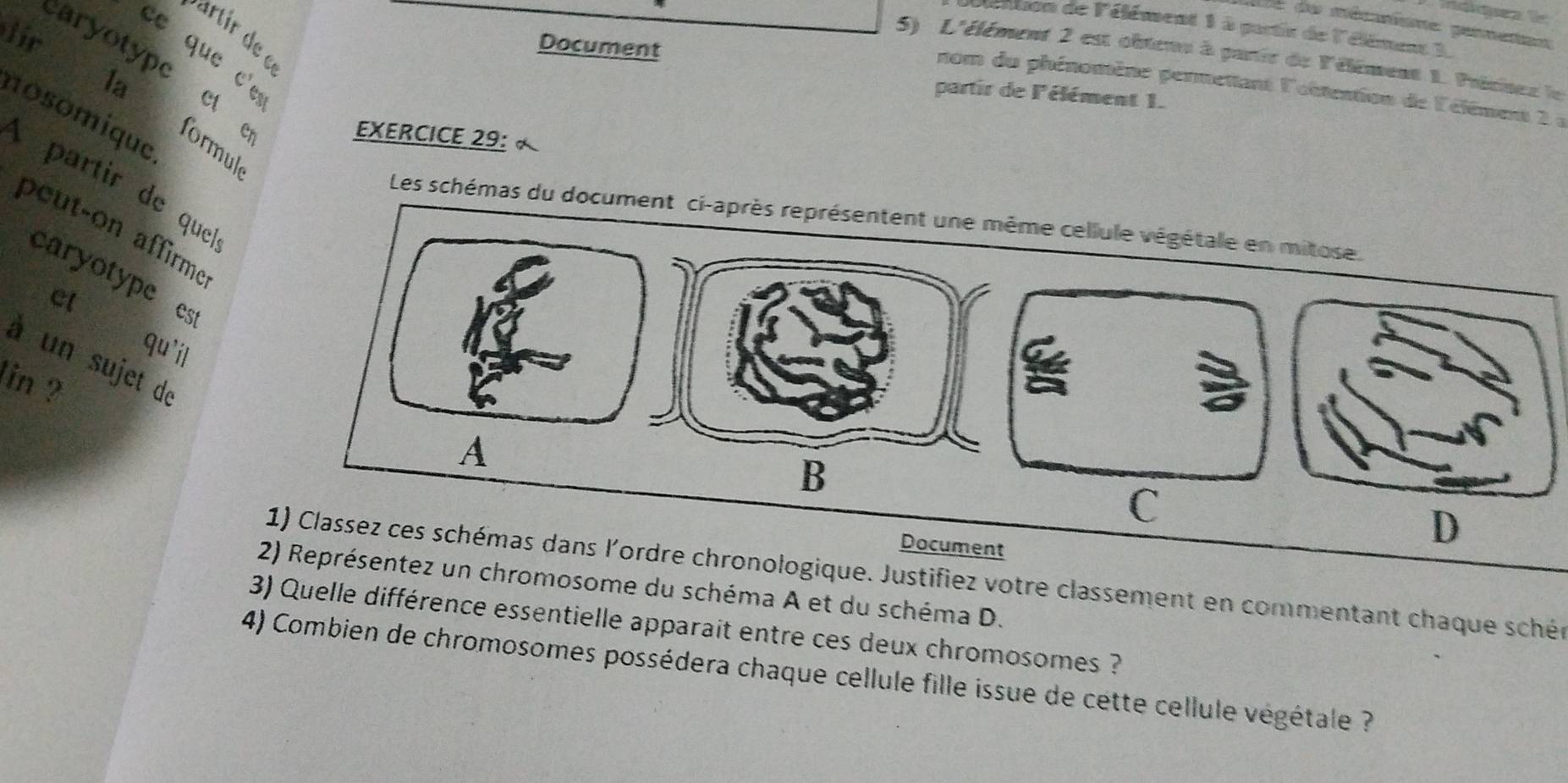 Le de méranione peneton 
déntion de l'élément 1 à partis de l'élément I 
Document 
lir la 
ée que c e 
5) L'élément 2 est obteuu à partir de l'élément 1. Précisex le 
nom du phénomène permettant l'oitention de l'élément 2 a 
caryotype et formuld 
partir de l'élément 1. 
nosomique 
EXERCICE 29: 
À partir de que 
Les schémas du documen 
peut-on affirme 
caryotype es 
et qu'i 
à un sujet de 
lin ? 
Document 
1) Classez ces schémas dans l'ordre chronologique. Justifiez votre classement en commentant chaque schén 
2) Représentez un chromosome du schéma A et du schéma D. 
3) Quelle différence essentielle apparait entre ces deux chromosomes ? 
4) Combien de chromosomes possédera chaque cellule fille issue de cette cellule végétale ?