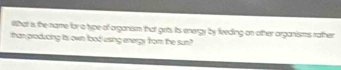 What is, the name for a type of organism that gets its energy by feeding on other organisms rather 
than producing is own lood using energy from the sun?