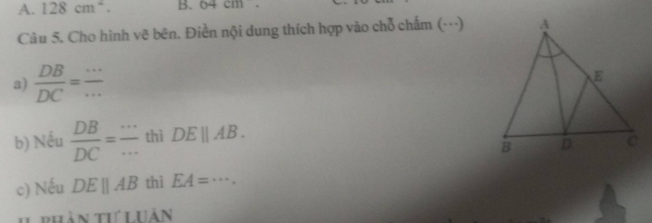 128cm^2. B. 64cm. 
Câu 5. Cho hình vẽ bên. Điền nội dung thích hợp vào chỗ chấm (…) 
a)  DB/DC = __ 
b) Nếu  DB/DC = ·s /·s   thì DEparallel AB. 
c) Nếu DEparallel AB thì EA=·s. _ 
II phân tư LUân