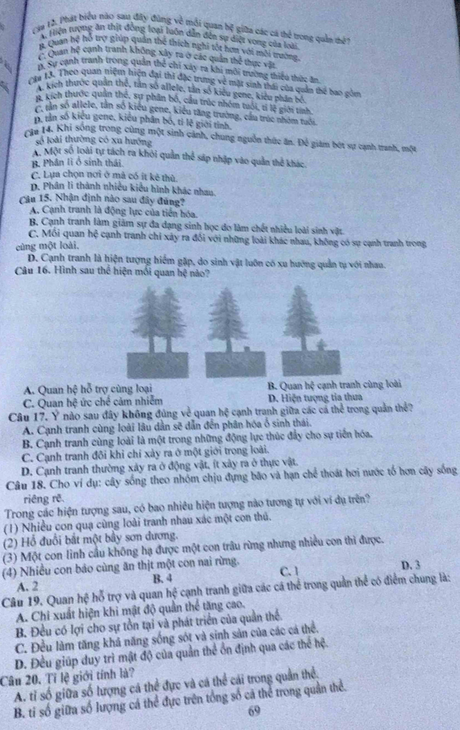 Cia 12. Phát biểu nào sau đây đùng về mỗi quan hệ giữa các cá thể trong quần thế 1
A Hiện tượng ăn thịt đồng loại luôn dẫn đên sự diệt vong của loài
p. Quan hổ trợ giúp quân thể thích nghi tột hơn với môi trường,
C. Quan h∉ cạnh tranh khộng xây ra ở các quần thể thực vật
B. Sự cạnh tranh trong quân thể chỉ xảy ra khi môi trường thiếu thức ăn
(ậm 13. Theo quan niệm hiện đại thi đặc trưng về mặt sinh thái của quản thể bao gồm
W A. kích thưộc quản thể, tân số allele, tần số kiểu gene, kiểu phân bố.
B. kích thước quần thể, sự phân bố, cầu trúc nhóm tuổi, tỉ lệ giới tính
C, tần số allele, tần số kiểu gene, kiểu tăng trường, cầu trúc nhóm tuổi
D. tân số kiểu gene, kiêu phân bố, tỉ lệ giới tính.
Câu 14, Khi sống trong cùng một sinh cảnh, chung nguồn thức ăn. Để giảm bót sự cạnh tranh, một
số loài thường có xu hướng
A. Một số loài tự tách ra khỏi quần thể sáp nhập vào quần thể khác.
B. Phân lì ổ sinh thái.
C. Lựa chọn nơi ở mà có ít kê thù.
D. Phân li thành nhiều kiểu hình khác nhau.
Câu 15. Nhận định nào sau đây đủng?
A. Cạnh tranh là động lực của tiến hóa,
B. Cạnh tranh làm giảm sự đa dạng sinh học do làm chết nhiều loài sinh vật
C. Mỗi quan hệ cạnh tranh chi xây ra đối với những loài khác nhau, không có sự cạnh tranh trong
cùng một loài.
D. Cạnh tranh là hiện tượng hiểm gặp, do sinh vật luôn có xu hướng quản tụ với nhau.
Câu 16. Hình sau thể hiện mối quan hệ nào?
B. Quan hxi
A. Quan hệ hỗ trợ cùng loại cạnh tranh cùng loài
C. Quan hệ ức chế cảm nhiễm D. Hiện tượng tia thưa
Câu 17. Ý nào sau đây không đúng về quan hệ cạnh tranh giữa các cả thể trong quản thể?
A. Cạnh tranh cùng loài lâu dân sẽ dẫn đến phân hóa ổ sinh thái.
B. Cạnh tranh cùng loài là một trong những động lực thúc đầy cho sự tiến hóa.
C. Cạnh tranh đôi khi chỉ xảy ra ở một giới trong loài.
D. Cạnh tranh thường xảy ra ở động vật, ít xây ra ở thực vật.
Câu 18. Cho ví dụ: cây sống theo nhóm chịu đựng bão và hạn chể thoát hơi nước tố hơn cây sống
riêng rê.
Trong các hiện tượng sau, có bao nhiêu hiện tượng nào tương tự với ví dụ trên?
(1) Nhiều con quạ cùng loài tranh nhau xác một con thủ.
(2) Hỗ đuổi bắt một bầy sơn dương.
(3) Một con lình cầu không hạ được một con trâu rừng nhưng nhiều con thì được.
(4) Nhiều con bảo cùng ăn thịt một con nai rừng, C. 1 D. 3
A. 2 B. 4
Câu 19. Quan hhat c hỗ trợ và quan hệ cạnh tranh giữa các cá thể trong quản thể có điểm chung là:
A. Chi xuất hiện khi mật độ quần thể tăng cao.
B. Đều có lợi cho sự tồn tại và phát triển của quần thể.
C. Đều làm tăng khả năng sống sót và sinh sản của các cá thể.
D. Đều giúp duy trì mật độ của quần thể ổn định qua các thể hệ.
Câu 20. Tỉ lệ giới tính là?
A. tỉ số giữa số lượng cá thể đực và cá thể cái trong quần thể
B. tỉ số giữa số lượng cá thể đực trên tổng số cá thể trong quản thể.
69