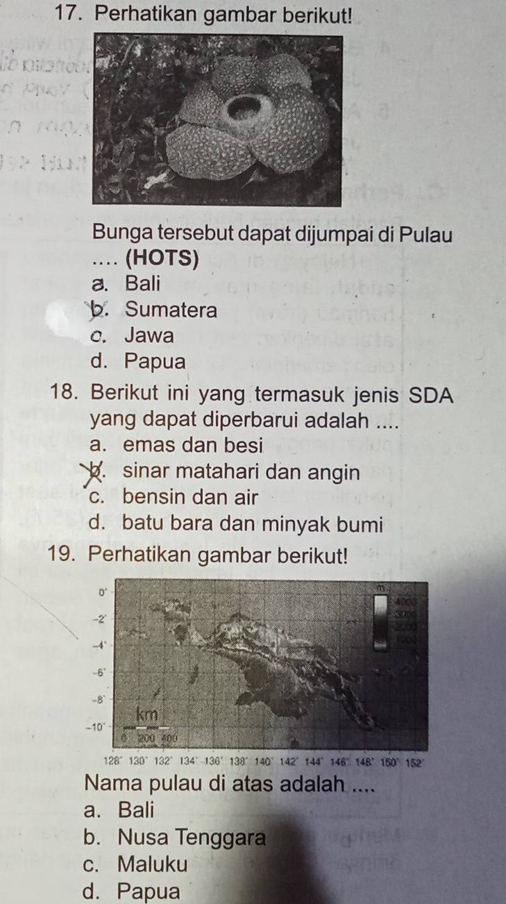 Perhatikan gambar berikut!
Bunga tersebut dapat dijumpai di Pulau
… (HOTS)
a. Bali
b. Sumatera
c. Jawa
d. Papua
18. Berikut ini yang termasuk jenis SDA
yang dapat diperbarui adalah ....
a. emas dan besi
b. sinar matahari dan angin
c. bensin dan air
d. batu bara dan minyak bumi
19. Perhatikan gambar berikut!
Nama pulau di atas adalah ....
a. Bali
b. Nusa Tenggara
c. Maluku
d. Papua