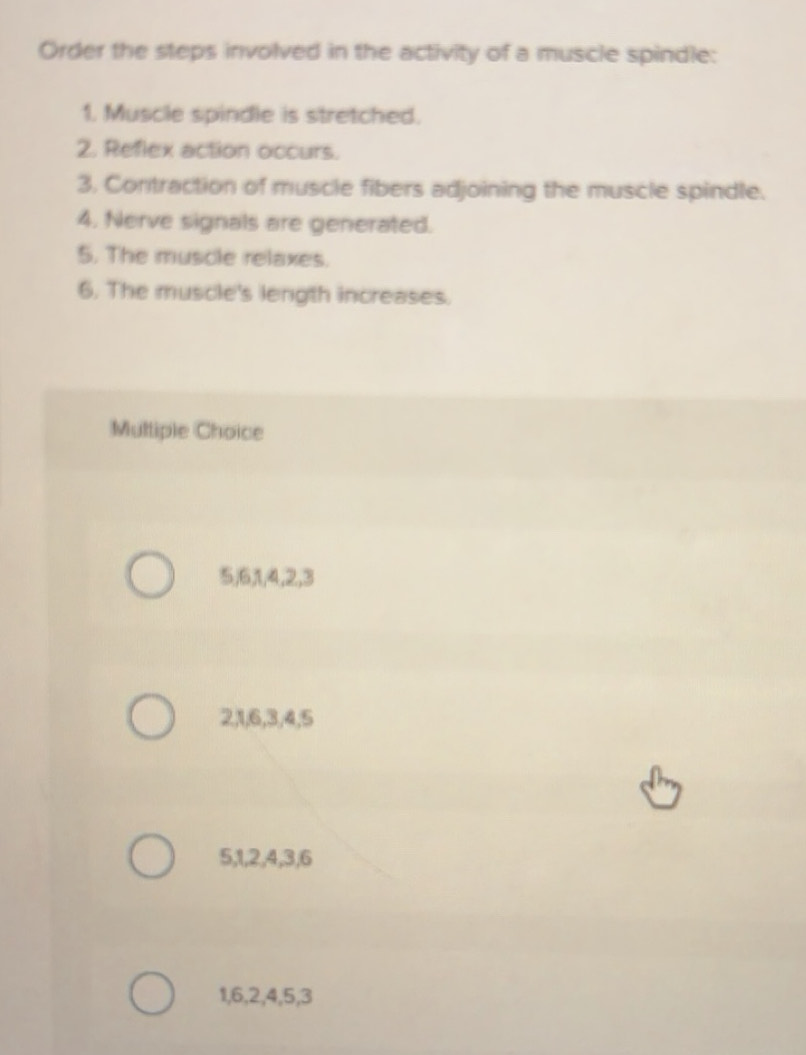 Solved: Order the steps involved in the activity of a muscle spindle: 1 ...