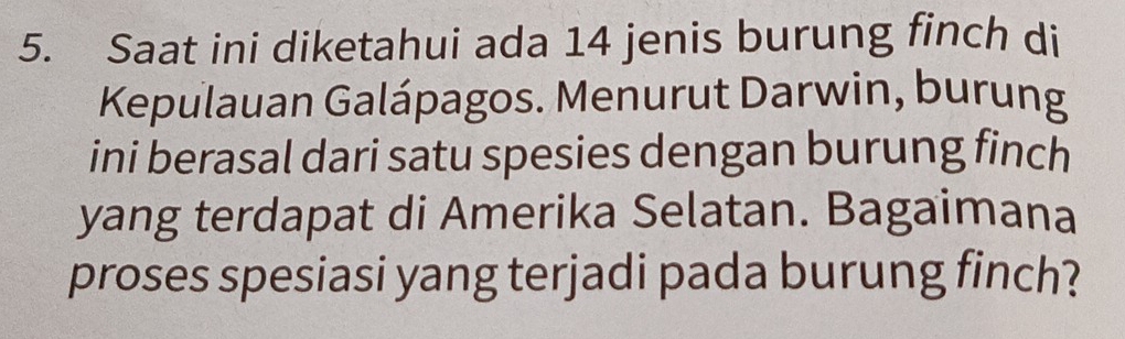 Saat ini diketahui ada 14 jenis burung finch di 
Kepulauan Galápagos. Menurut Darwin, burung 
ini berasal dari satu spesies dengan burung finch 
yang terdapat di Amerika Selatan. Bagaimana 
proses spesiasi yang terjadi pada burung finch?