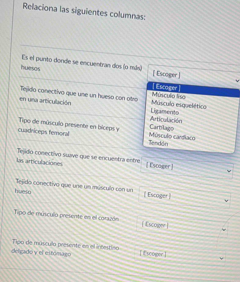 Relaciona las siguientes columnas:
Es el punto donde se encuentran dos (o más) [ Escoger ]
huesos
[ Escoger ]
Músculo liso
Tejido conectivo que une un hueso con otro Músculo esquelético
en una articulación Ligamento
Articulación
Cartílago
Tipo de músculo presente en bíceps y Músculo cardiaco
cuadríceps femoral Tendón
Tejido conectivo suave que se encuentra entre [ Escoger ]
las articulaciones
Tejido conectivo que une un músculo con un [ Escoger ]
hueso
Tipo de músculo presente en el corazón [ Escoger ]
Tipo de músculo presente en el intestino
delgado y el estómago
[ Escoger ]