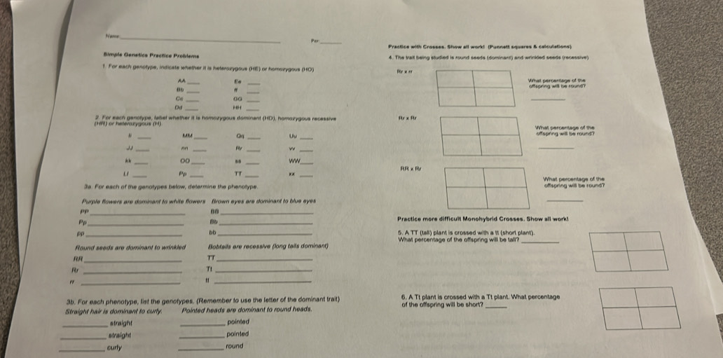 Per 
Simple Genétics Practice Probleme 4. The trail being studied is round seeds (dominant) and wrinkled seeds (recessive 
1. For each genotype, indicate whether it is heterozygous (HE) or homozygous (HO) Rr x rr 
AA _Eo_ 
_ 
offspring will be round? 
Ge_ 
_ 
_ 
_ 
Dd i n r 
(H) or haterozygous (H) 2. For each genotype, latief whether it is homozygous dominent (HD), homazyaous recessive Rr x Rr 
What percentage of the 
_ 
MM _Qq _Uu _offspring will be round? 
J _nn _Rr _w_ 
* h □□ ww 
_ 
RR x Rr 
Pp_ 3_ _What percentage of the 
3s. For each of the genotypes below, determine the phenotype offsoring will be round" 
Purple flowers are dominant to white flowers frown eyes are dominant to blue eve 
_ 
PP_ 
80_ 
Pρ_ 
Bb_ 
Practice more difficult Monohybrid Crosses. Show all work! 
bb 
pP __5. A TT (tall) plant is crossed with a tt (short plant). 
Round seeds are dominant to wrinkled Bobtails are recessive (long tails dominant) What percentage of the offspring will be tall?_ 
RR_ 
TT_ 
Rr 
Tt_ 
" 
_" 
3b. For each phenotype, list the genotypes. (Remember to use the letter of the dominant trait) 6. A Tt plant is crossed with a Tt plant. What percentage 
Straight hair is dominant to curty. Pointed heads are dominant to round heads. of the offspring will be short?_ 
_straight _pointed 
_straight _pointed 
_curly _round