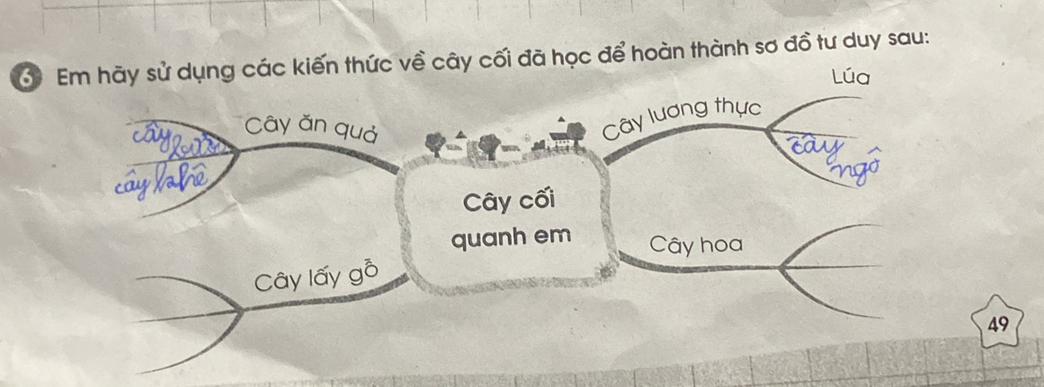 Em hãy sử dụng các kiến thức về cây cối đã học để hoàn thành sơ đồ tư duy sau: 
Lúa 
Cây lương thực 
Cây ăn quả car 
Cây cối 
quanh em Cây hoa 
Cây lấy gỗ
49